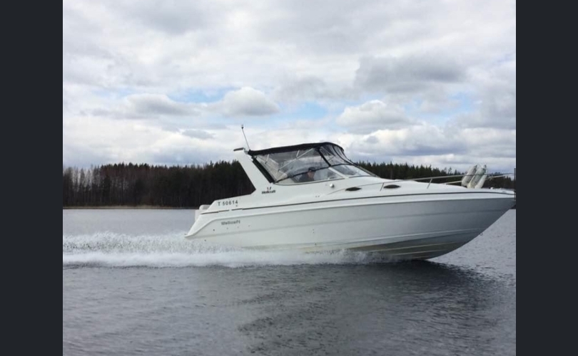 Wellcraft Martinique 2600-kuva-2